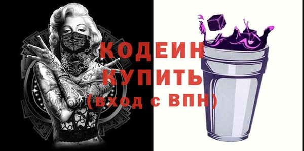 индика Верея