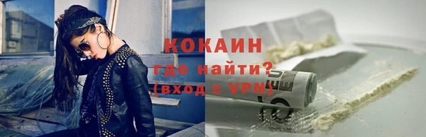 индика Верея