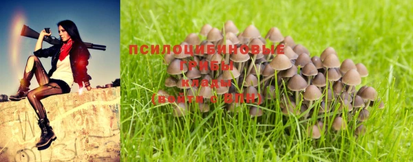 индика Верея