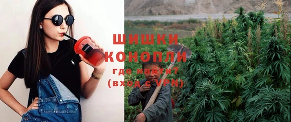 индика Верея