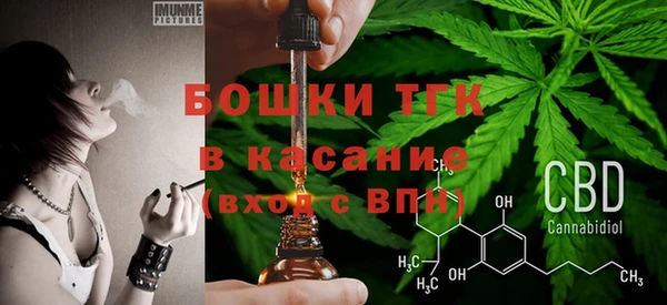 индика Верея